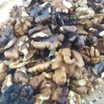 گردوی پرچرب فسنجانی تویسرکان